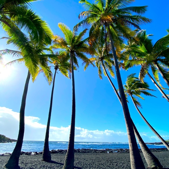 Meet your Posher, Brooke - Picture 1 of 1